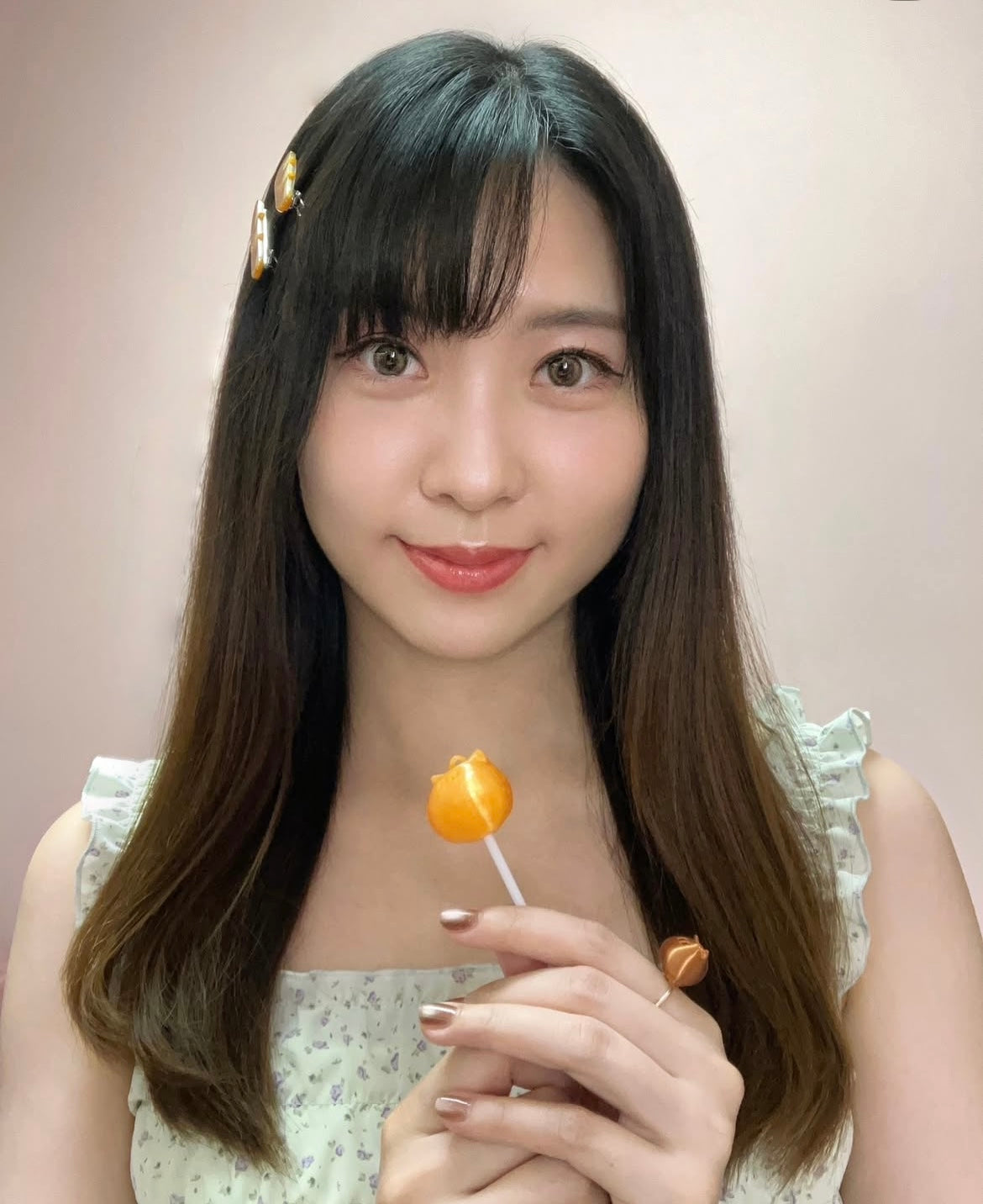 法包貓髮夾 一對