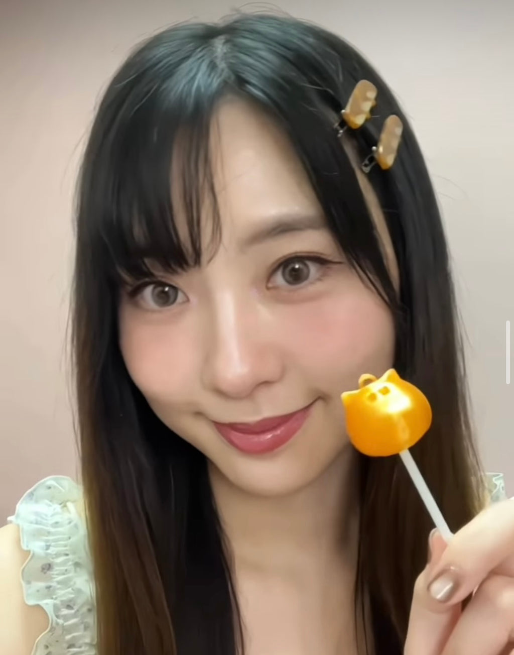 法包貓髮夾 一對