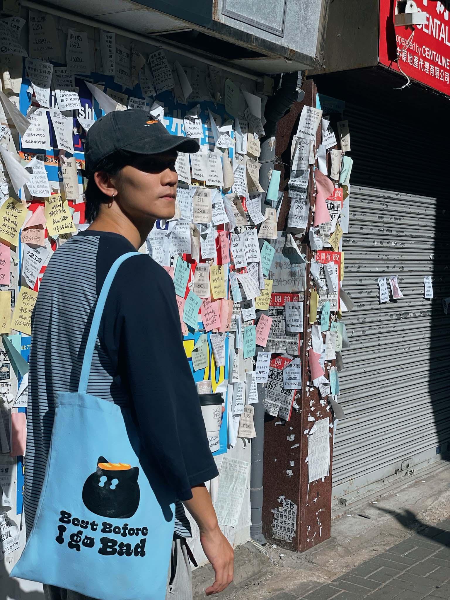 BEST BEFORE I GO BAD黑貓淺藍色環保袋