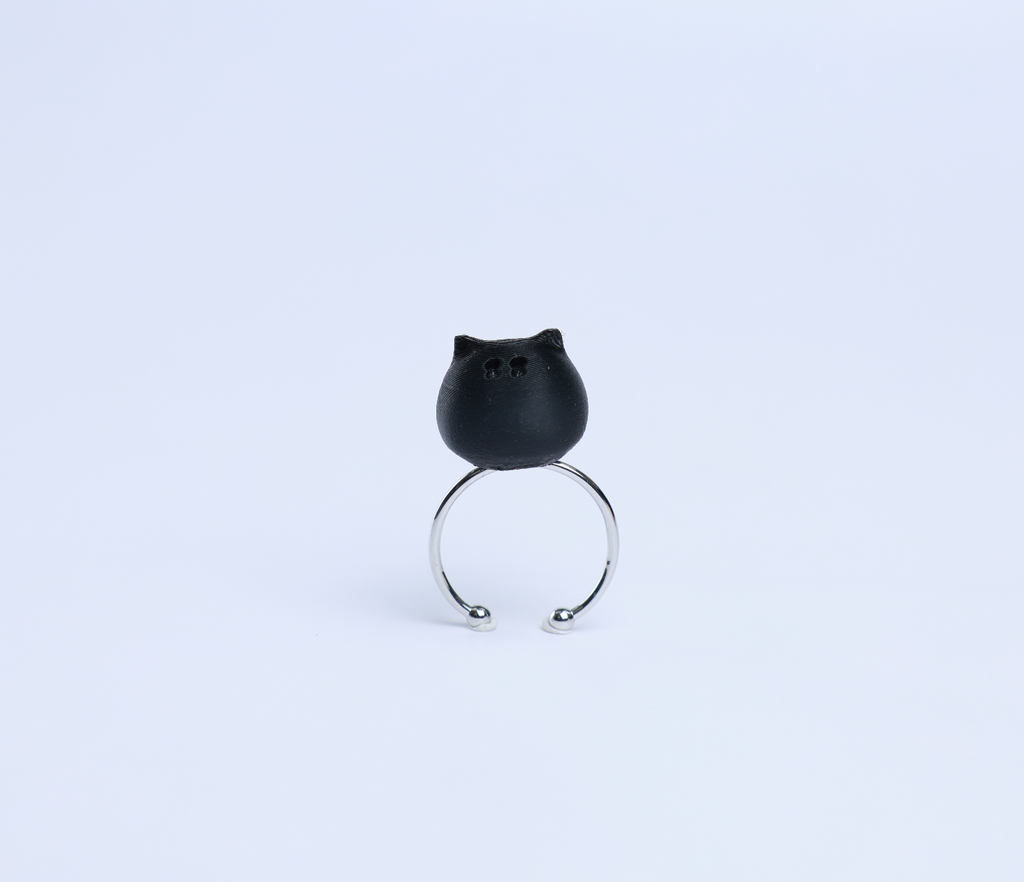 3D 貓咪小頭介指